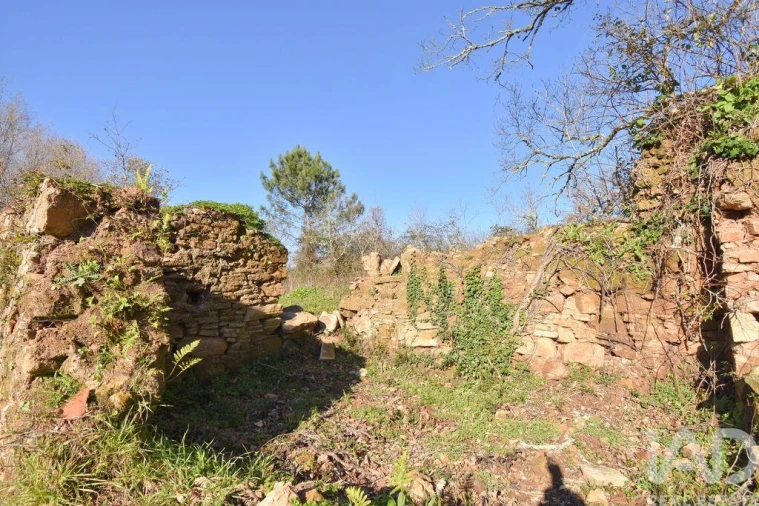 Terreno para Venda em Espinhal Foto 18
