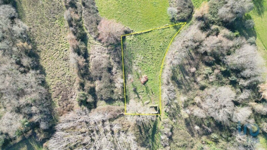 Terreno para Venda em Espinhal Foto 13