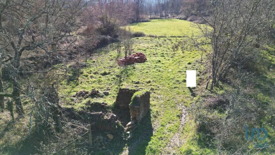 Terreno para Venda em Espinhal Foto 14