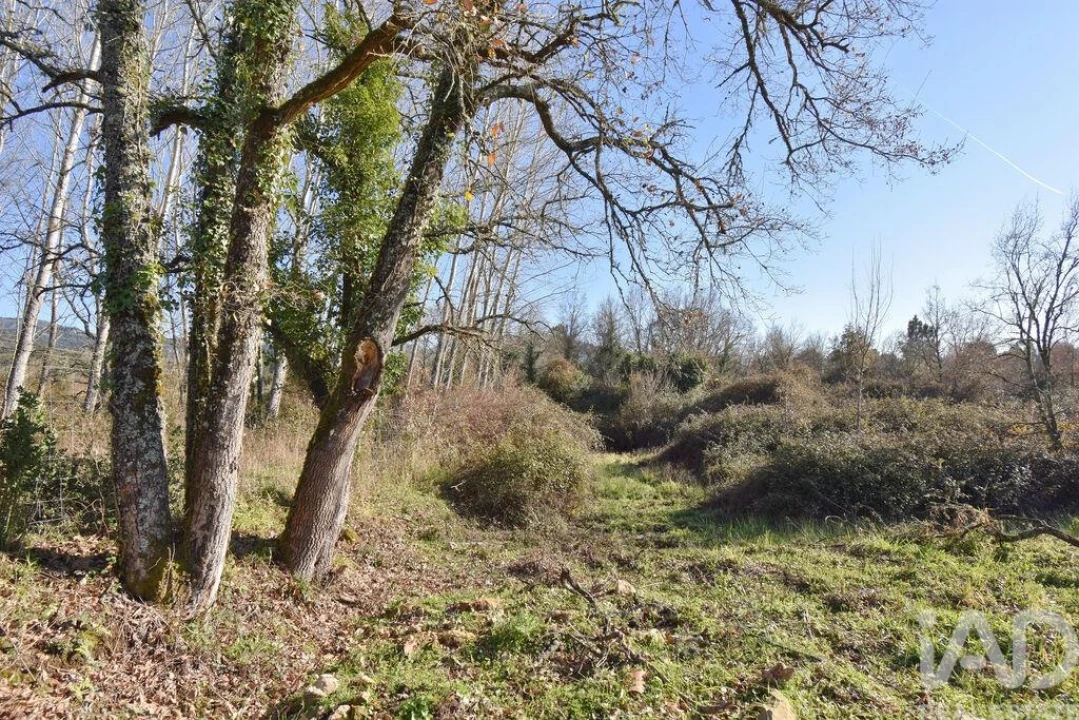 Terreno para Venda em Espinhal Foto 20