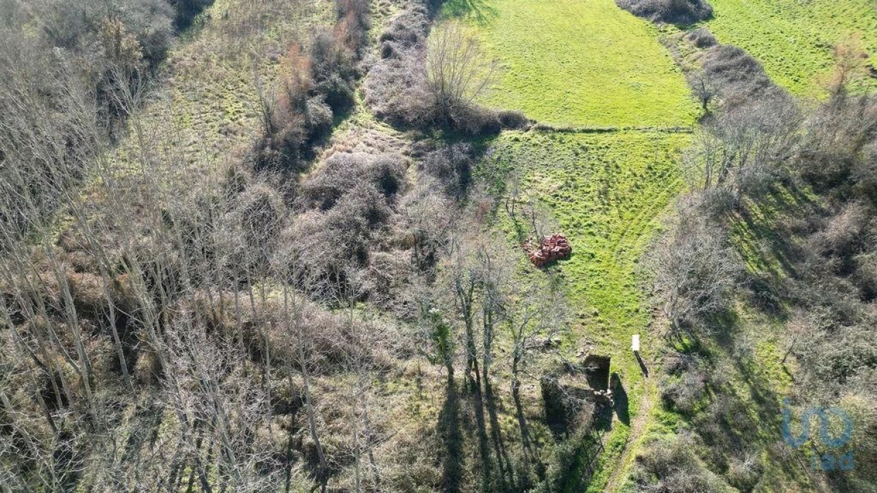 Terreno para Venda em Espinhal Foto 3