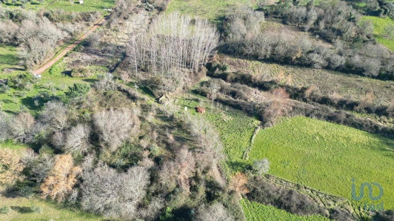 Terreno para Venda em Espinhal Foto 10