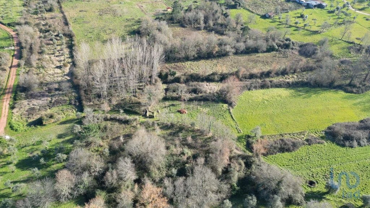 Terreno para Venda em Espinhal Foto 11