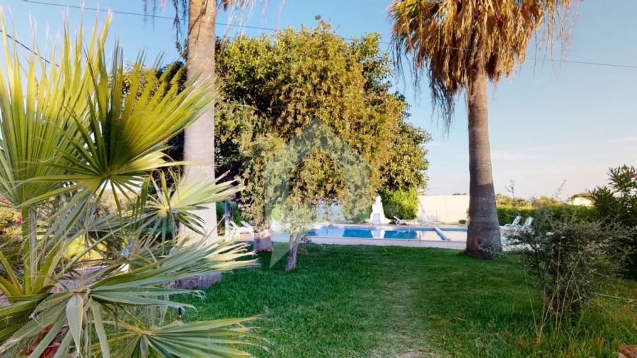 Negócio para Venda em Luz de Tavira e Santo Estêvão Foto 2