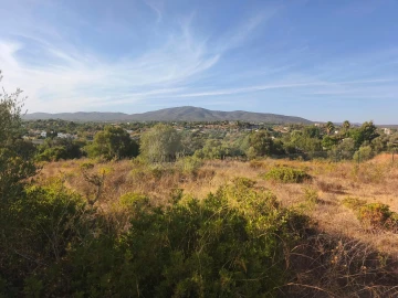 Terreno para Venda em Quelfes