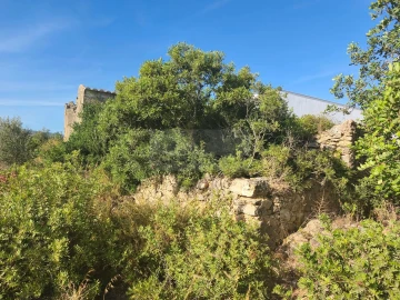 Terreno para Venda em Quelfes