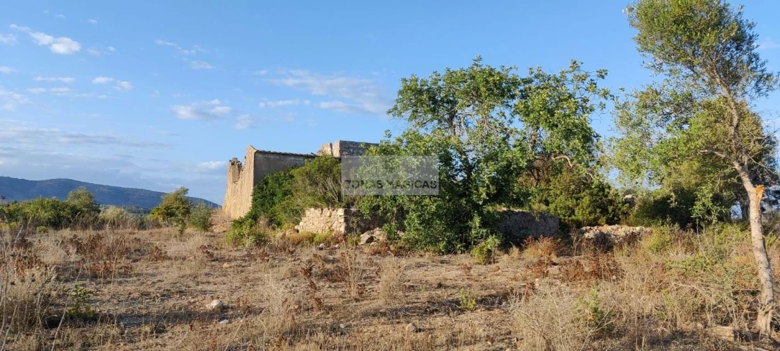 Terreno para Venda em Quelfes