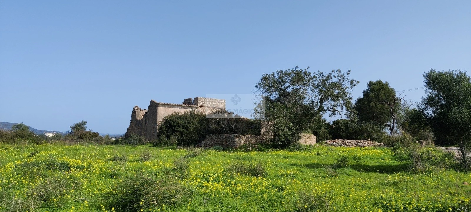 Terreno para Venda em Quelfes Foto 3