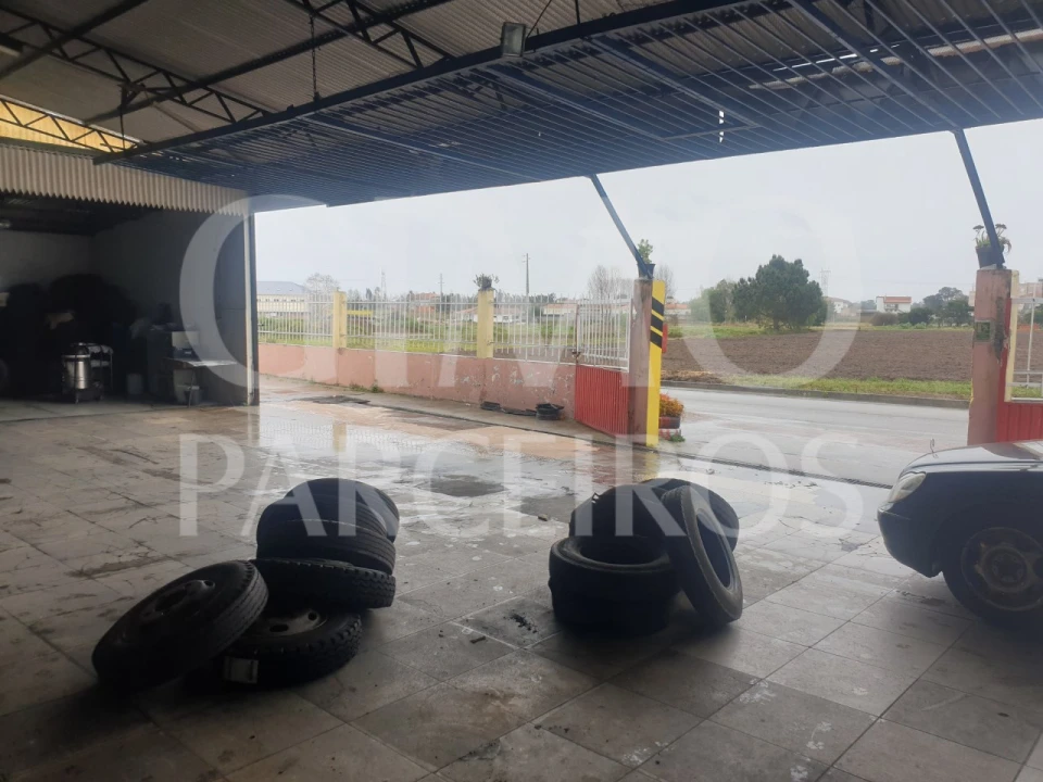 Negócio para Venda em Bustos, Troviscal e Mamarrosa Foto 13