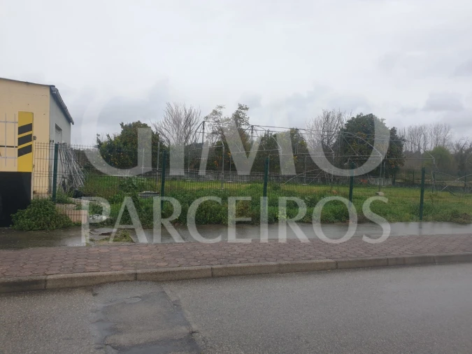 Negócio para Venda em Bustos, Troviscal e Mamarrosa Foto 2