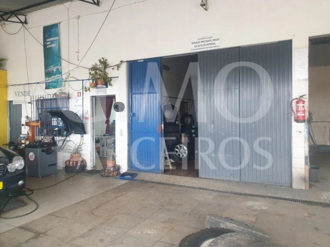 Negócio para Venda em Bustos, Troviscal e Mamarrosa Foto 9