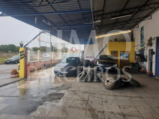 Negócio para Venda em Bustos, Troviscal e Mamarrosa Foto 12