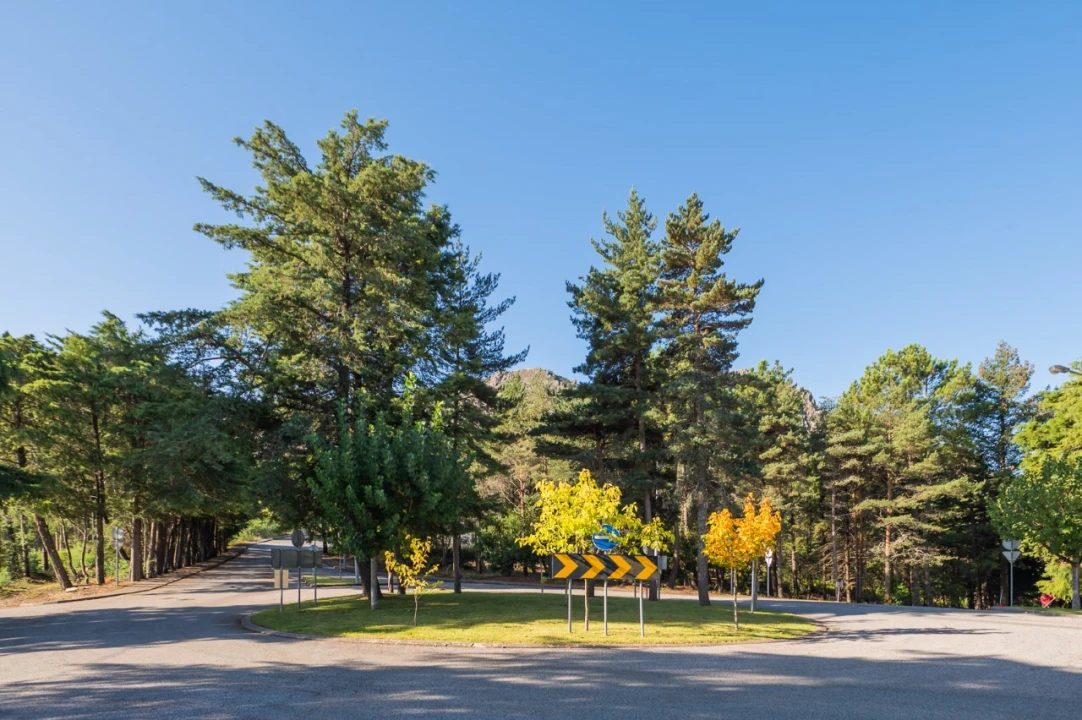 Negócio para Venda em Fajão-Vidual Foto 71