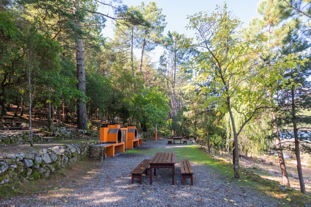 Negócio para Venda em Fajão-Vidual Foto 75
