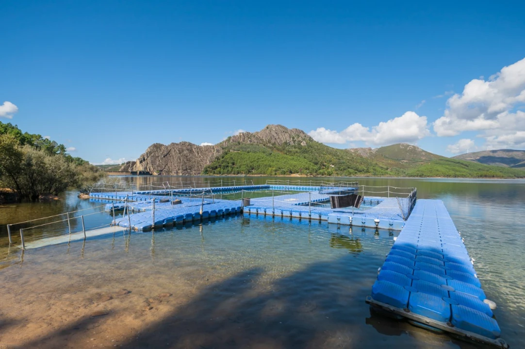 Negócio para Venda em Fajão-Vidual Foto 77