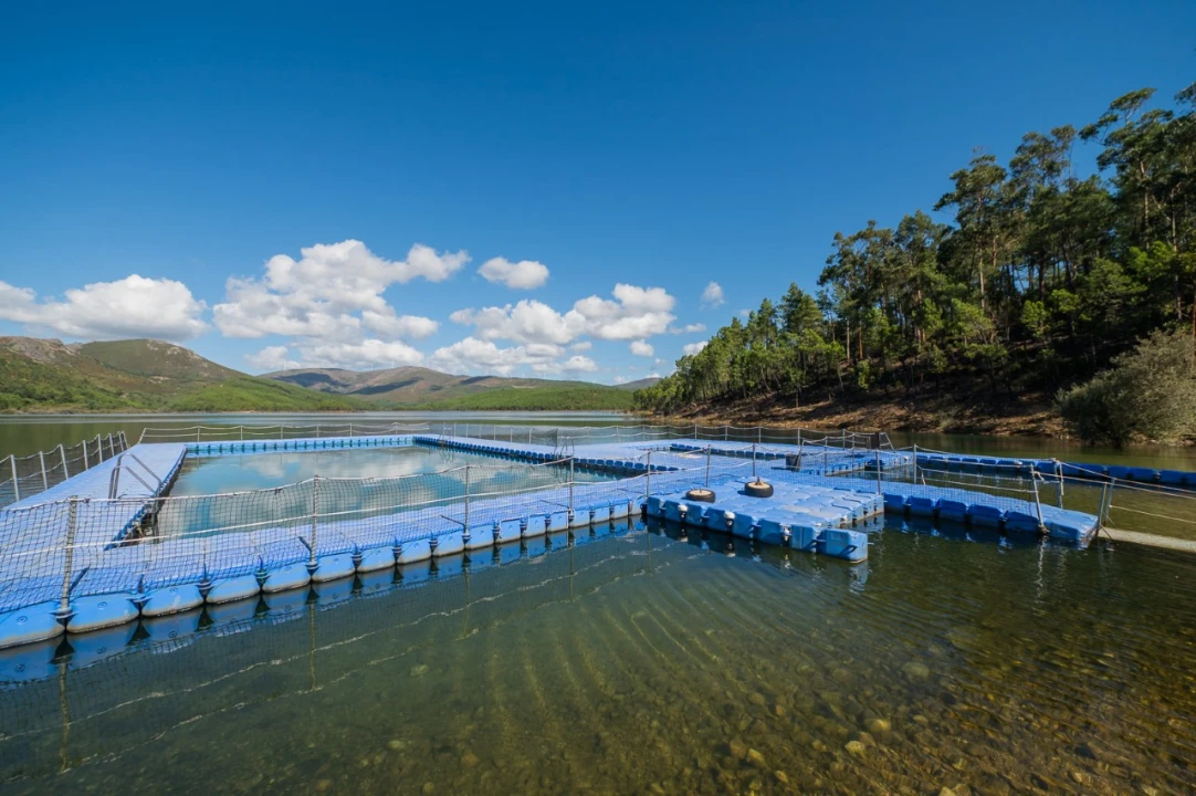 Negócio para Venda em Fajão-Vidual Foto 79