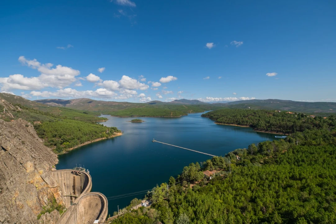 Negócio para Venda em Fajão-Vidual Foto 82