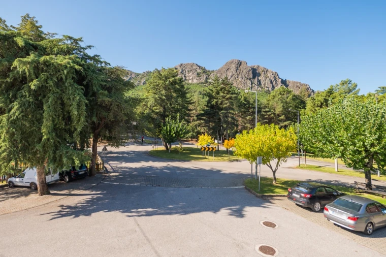 Negócio para Venda em Fajão-Vidual Foto 60