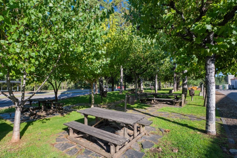 Negócio para Venda em Fajão-Vidual Foto 65