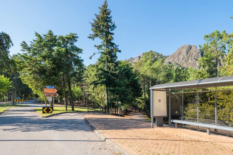 Negócio para Venda em Fajão-Vidual Foto 72