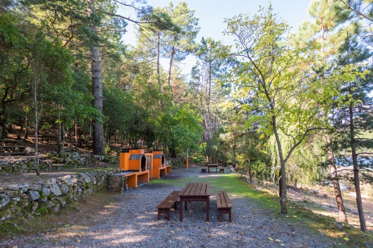 Negócio para Venda em Fajão-Vidual Foto 75