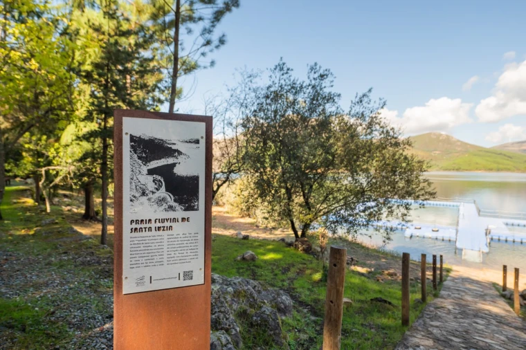 Negócio para Venda em Fajão-Vidual Foto 76