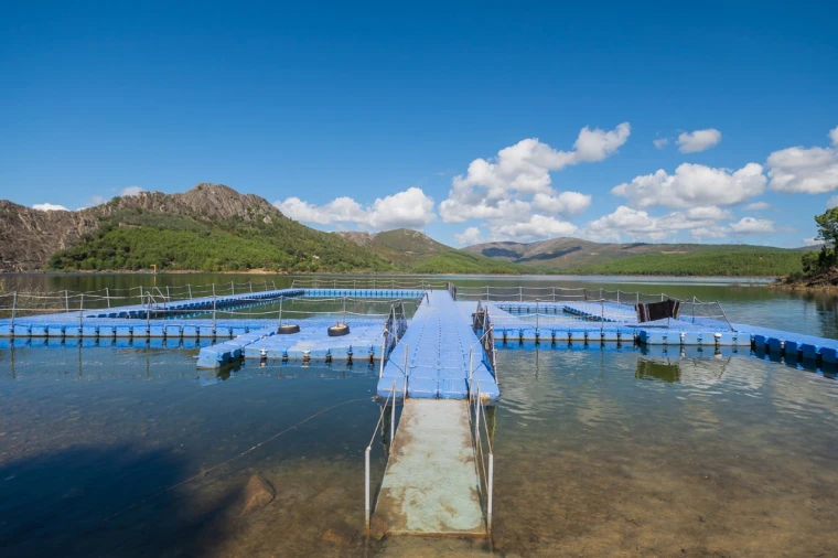 Negócio para Venda em Fajão-Vidual Foto 78