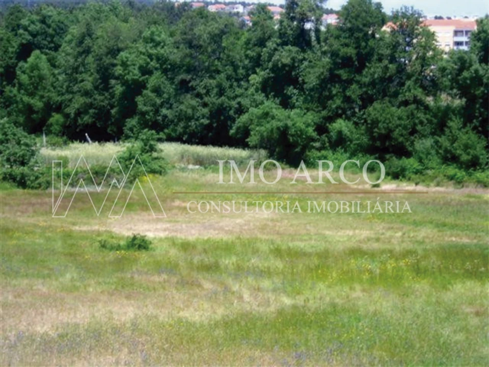 Terreno Misto para Venda em Santa Maria Maior Foto 5