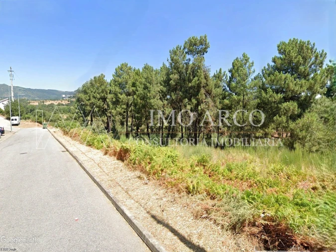 Terreno Misto para Venda em Santa Maria Maior Foto 3