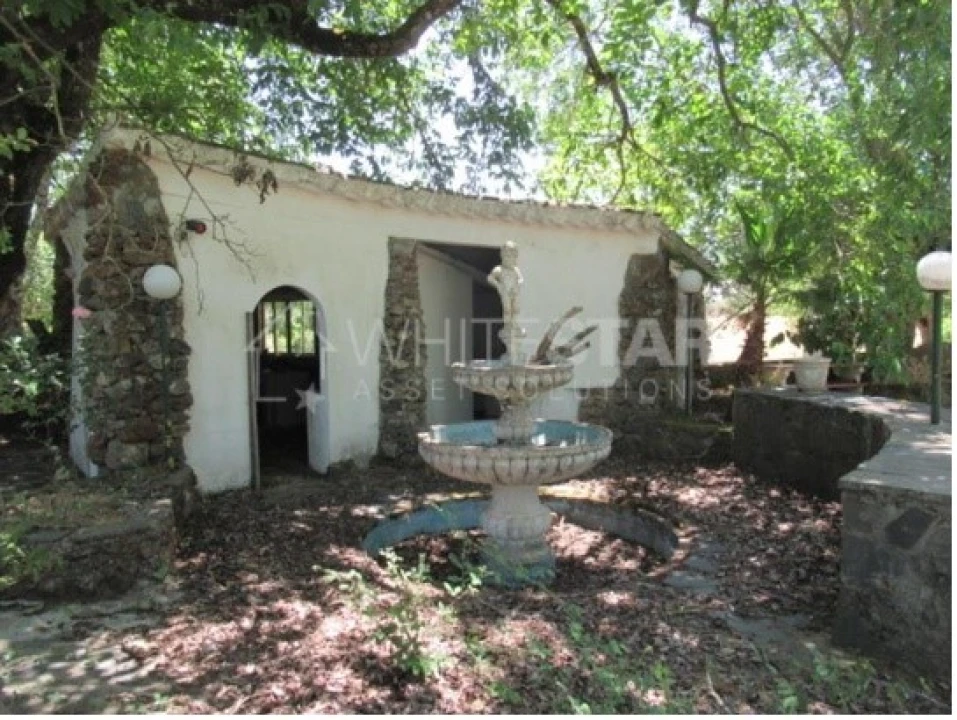 Negócio para Venda em São Salvador da Aramenha Foto 2