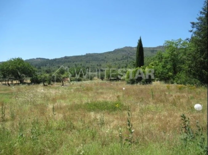 Negócio para Venda em São Salvador da Aramenha Foto 12