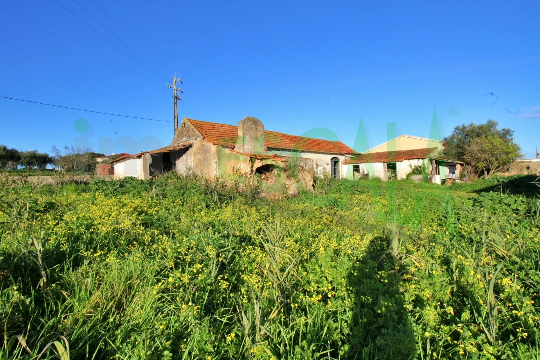 Armazém para Venda em Pontevel Foto 14