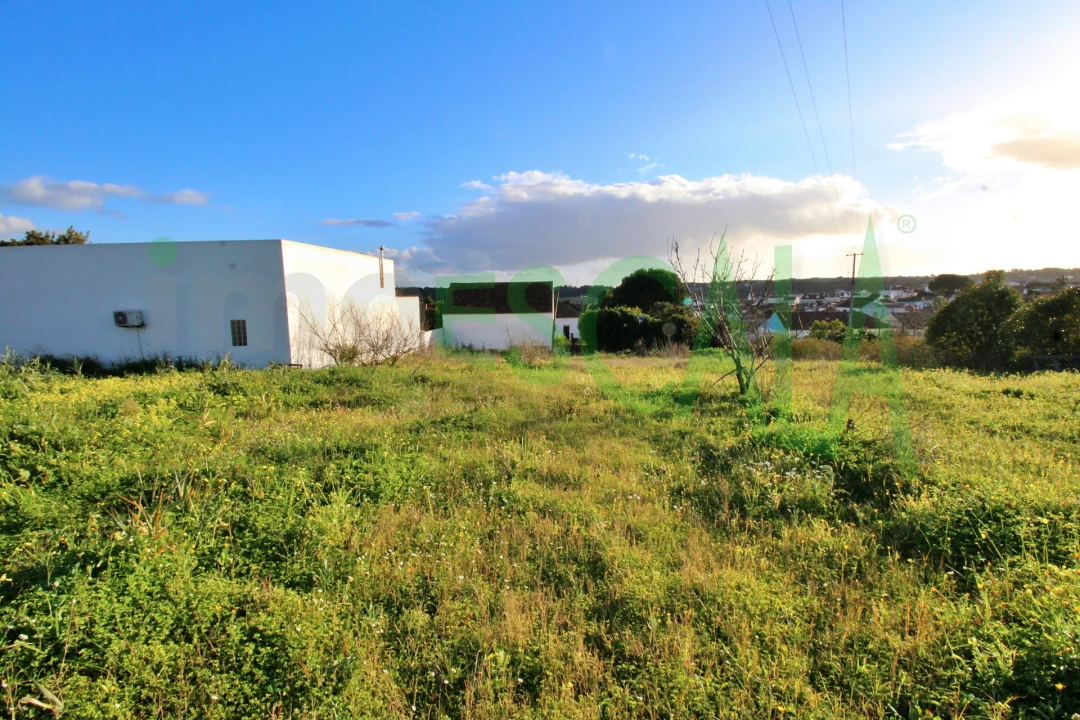 Armazém para Venda em Pontevel Foto 4
