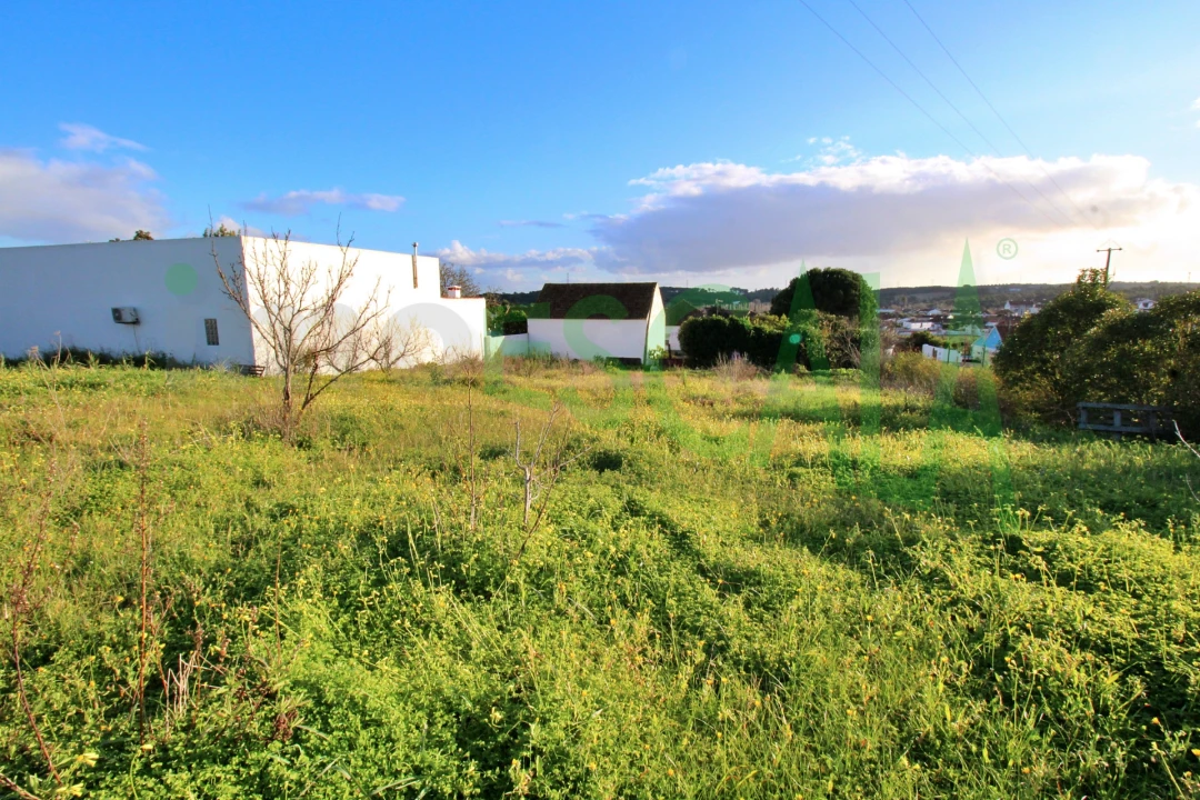 Armazém para Venda em Pontevel Foto 11