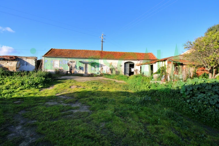 Armazém para Venda em Pontevel Foto 3