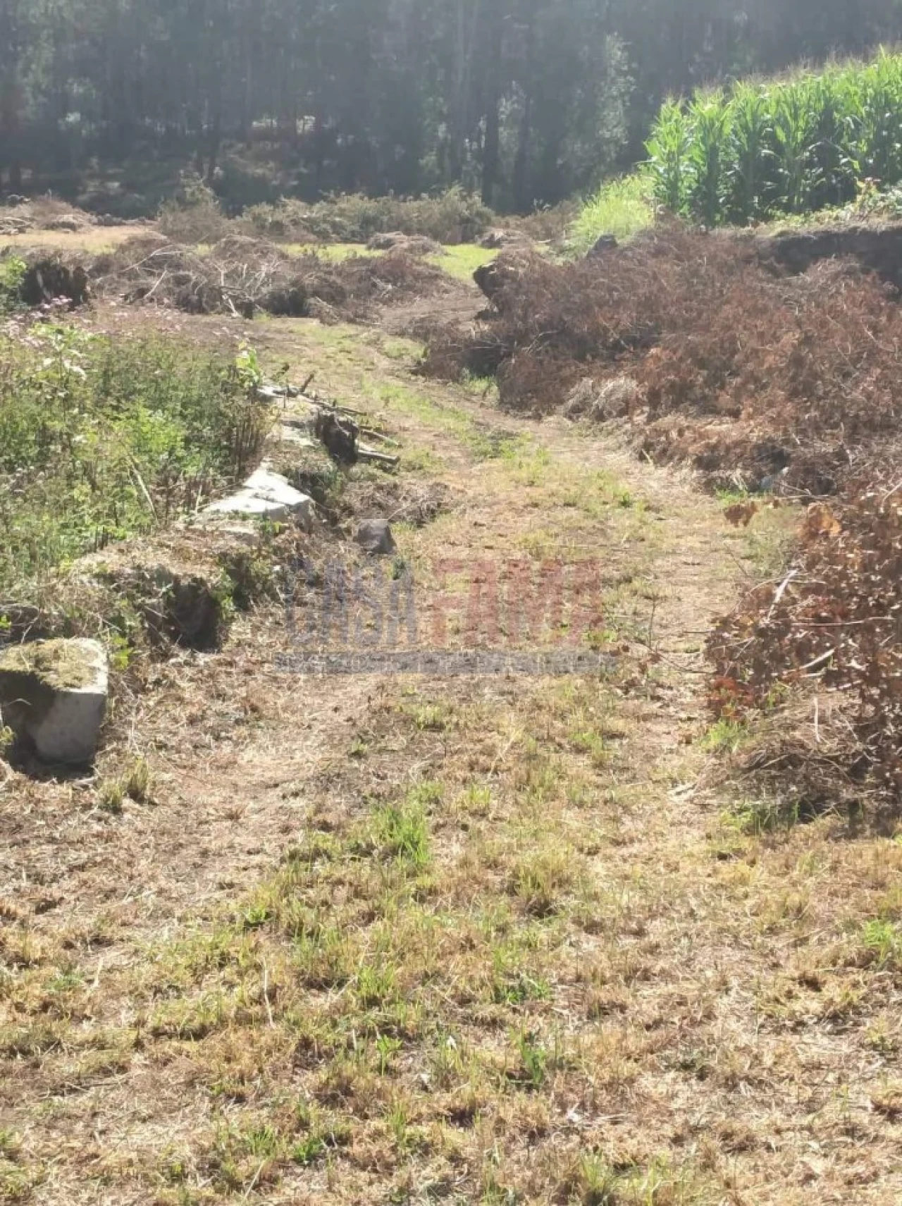 Terreno para Venda em Remelhe Foto 13