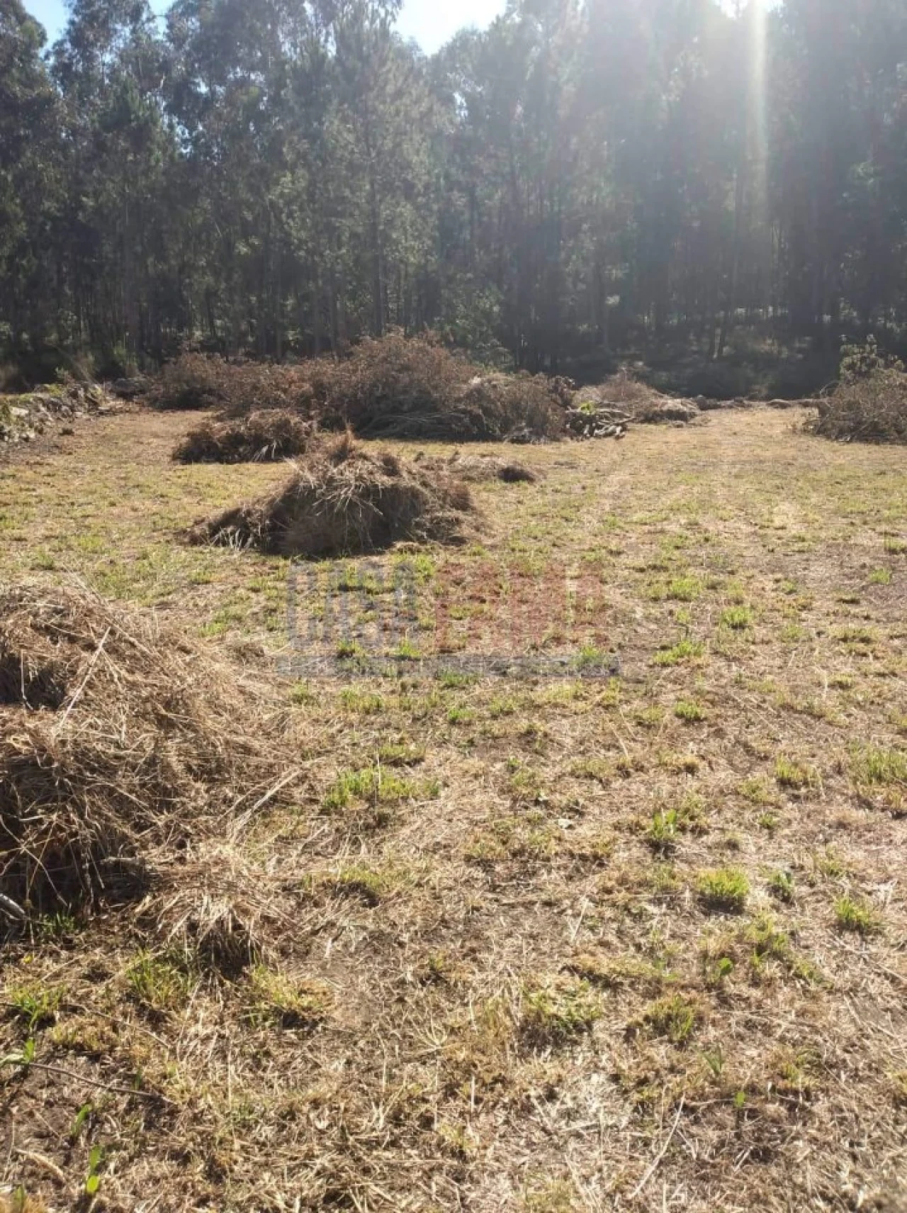 Terreno para Venda em Remelhe Foto 15