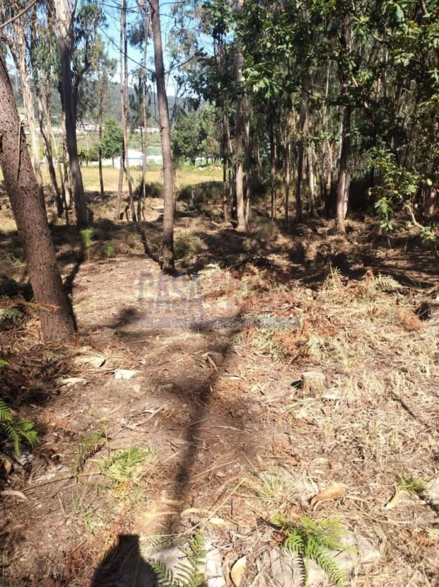 Terreno para Venda em Remelhe Foto 14