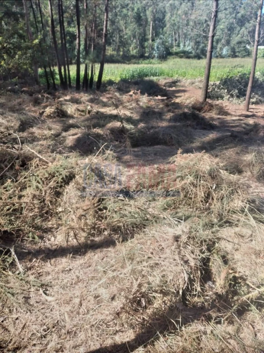 Terreno para Venda em Remelhe Foto 16