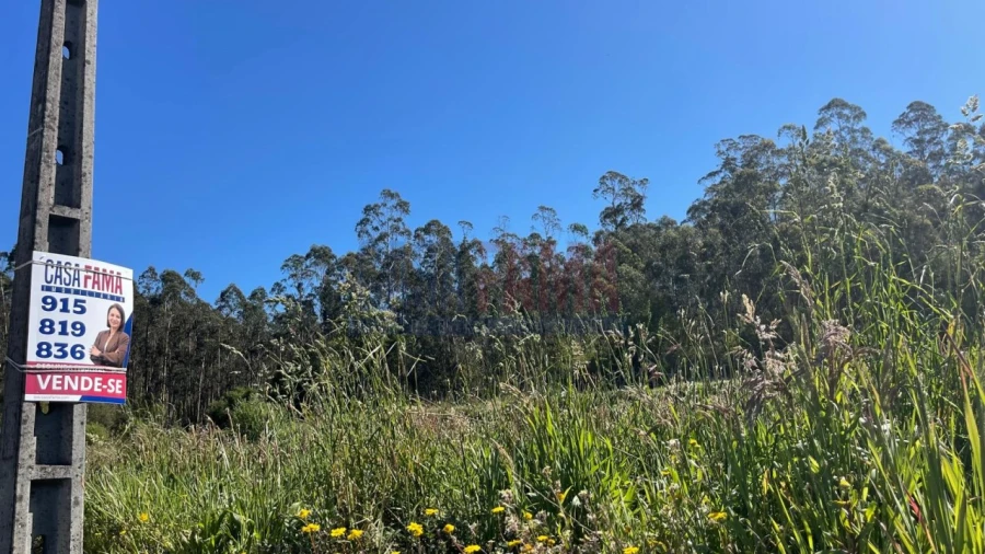 Terreno para Venda em Remelhe Foto 1