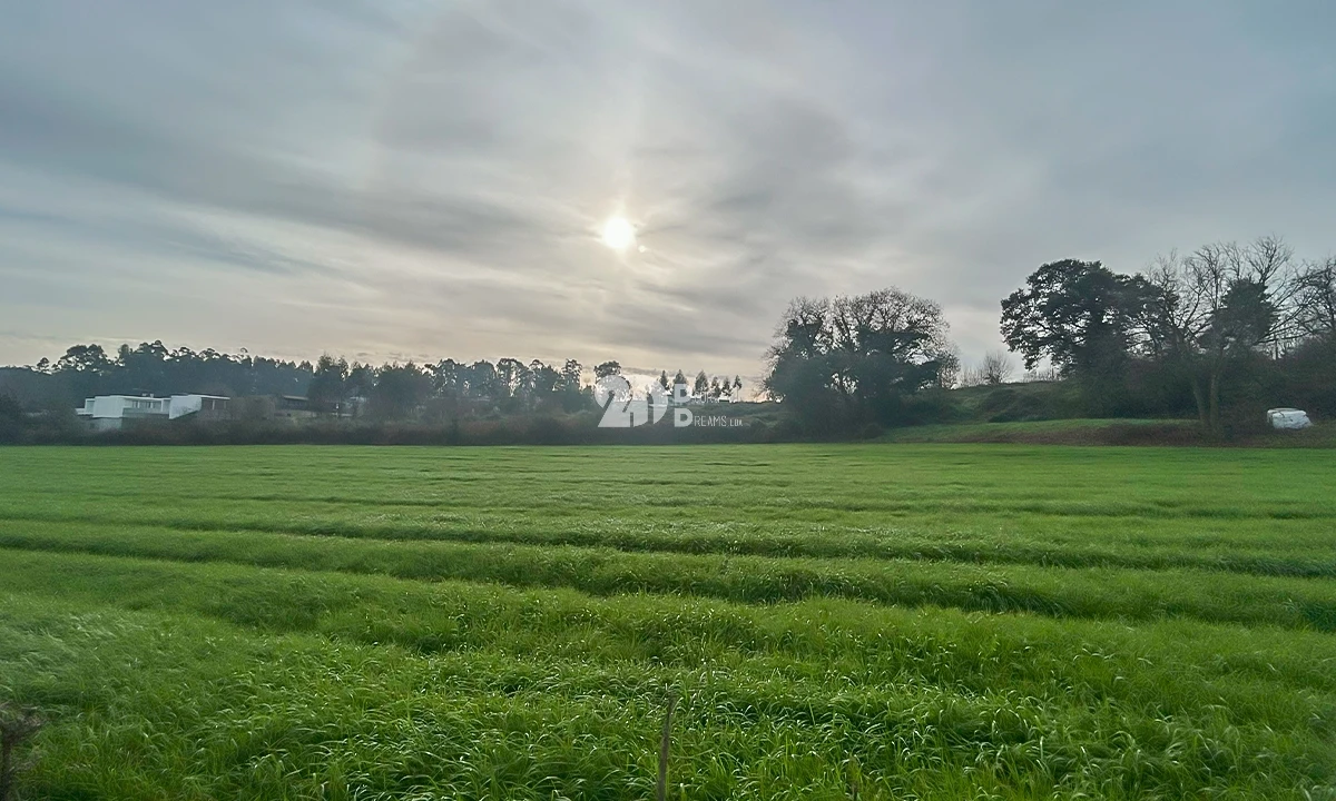 Terreno para Venda em Lemenhe, Mouquim e Jesufrei Foto 9