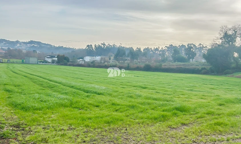 Terreno para Venda em Lemenhe, Mouquim e Jesufrei Foto 7