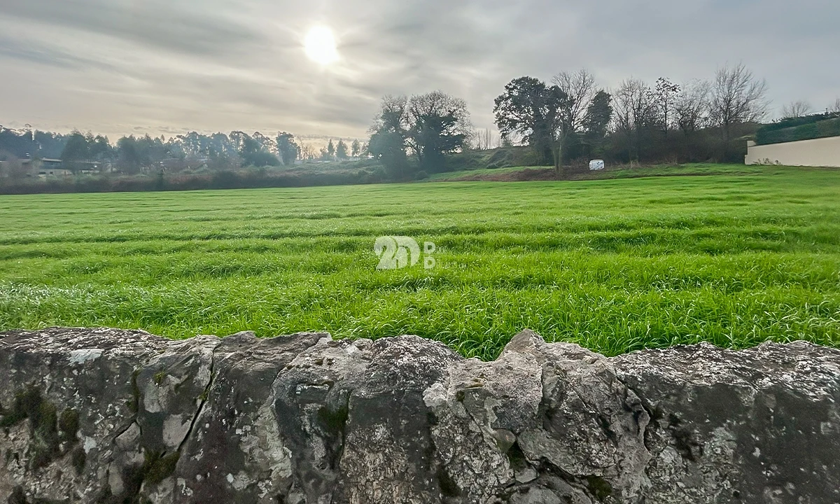Terreno para Venda em Lemenhe, Mouquim e Jesufrei Foto 12