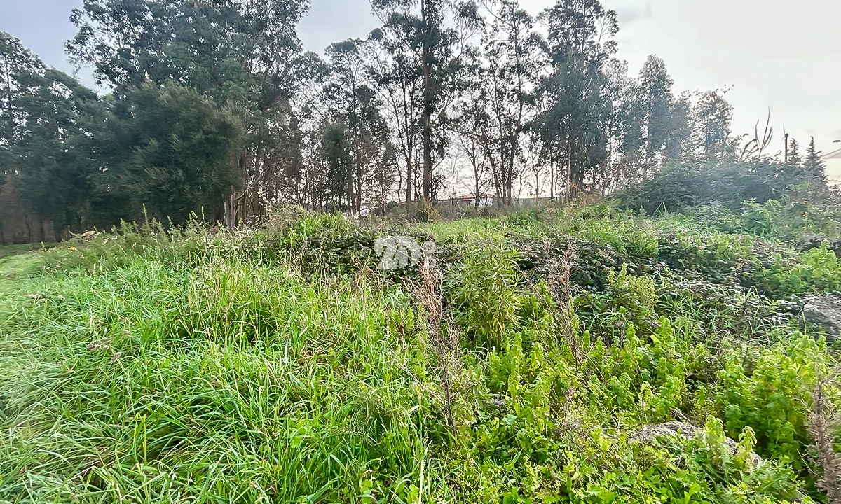 Terreno para Venda em Louro Foto 2