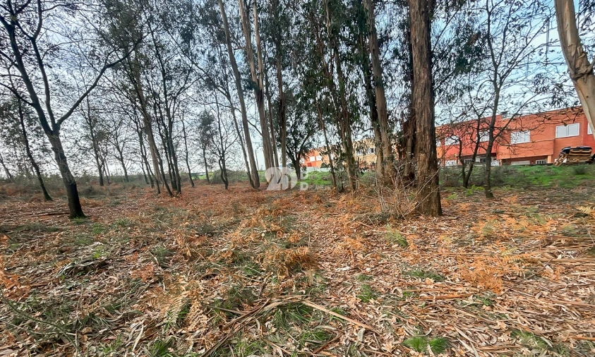 Terreno para Venda em Louro Foto 7