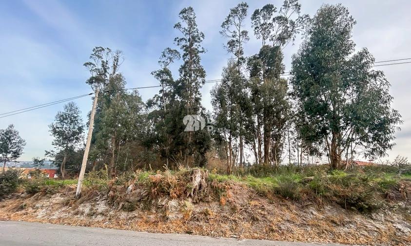 Terreno para Venda em Louro Foto 12