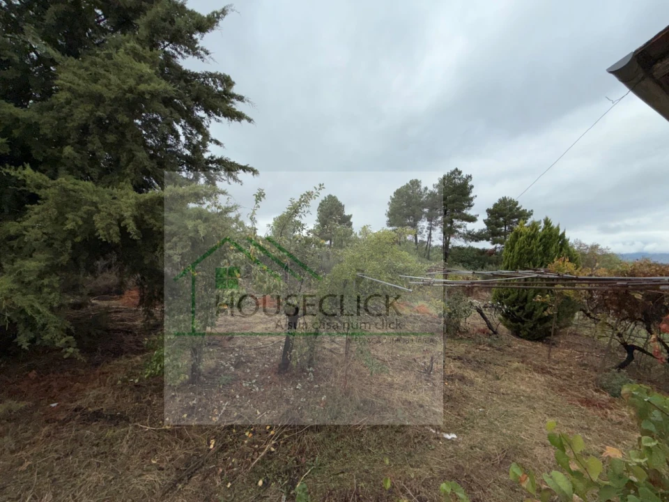 Moradia T4 para Venda em Caria Foto 17