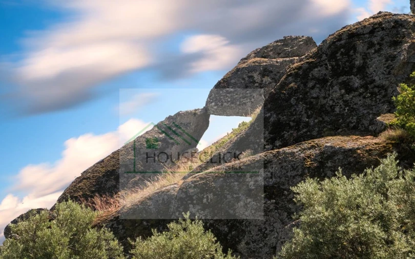 Quarto para Arrendamento férias em Sortelha Foto 3