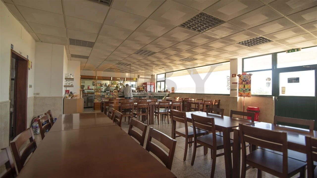 Negócio para Venda em Baleizão Foto 4