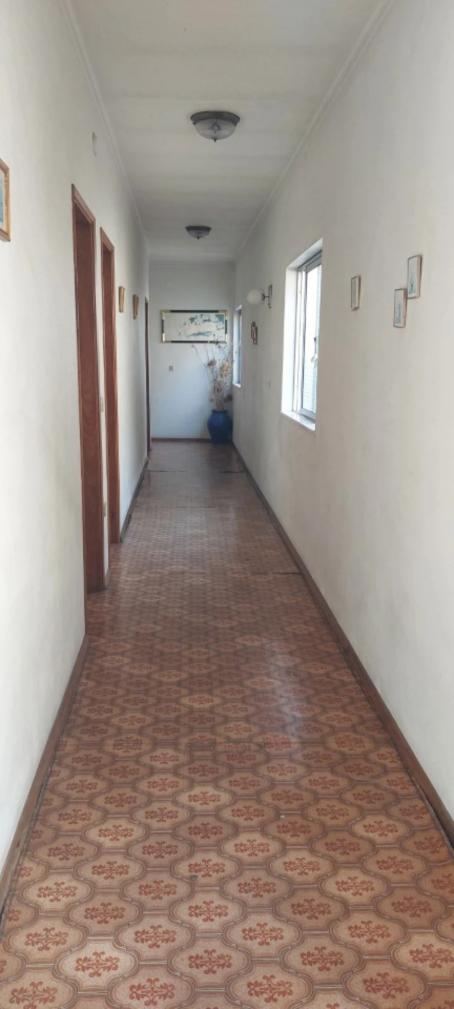 Negócio para Venda em Monte Real e Carvide Foto 10